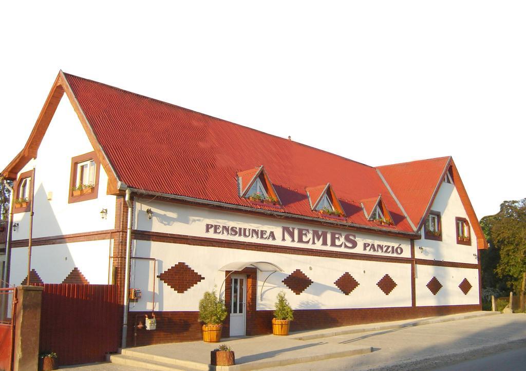 Pensiunea Nemes Panzio Acatari Екстер'єр фото